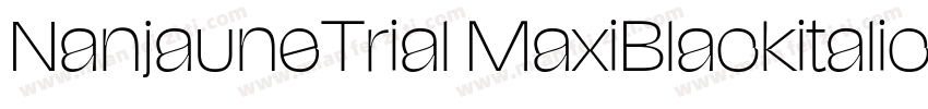 NanjauneTrial MaxiBlackitalic字体转换
